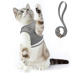 Supet Cat Harness and Leash Set for Walking Cat and