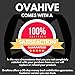 Posture Corrector for Women and Men - Adjustable Back Posture Corrector Clavicle Support Brace - Upper Back Brace Posture Corrector Shoulder Brace by Ovahive (Large/XLarge)