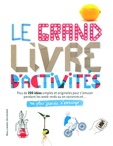 Le grand livre d'activités : Ne plus jamais s'ennuyer by John Woodward