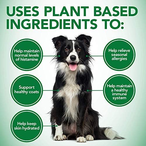 Shed and itch healthy coat Clearance