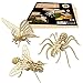 WoodFlair 3D Wooden Puzzle, Set of 3, Insect