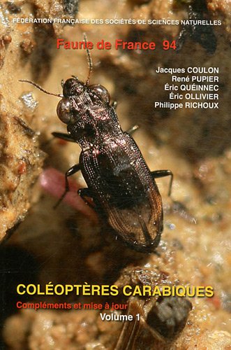 Coléoptères carabiques