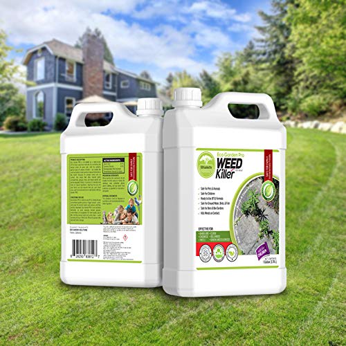 home remedy weed killer safe for pets