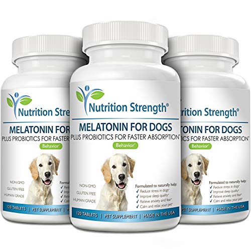 Nutrition Strength Melatonin For Dogs Help Improve Sleep Quality Anti Anxiety Support Stress Separation Aid Promote Relaxation Help Dogs Feel Calm Comfortable 120 Chewable Tablets Pricepulse