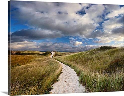 cwb2jcwb2jcwb2j Canvas Print Canvas Art Wrap Beach Decor Cape Cod Photography Martha'S Vineyard Dunes Path Photo Nautical Coastal Decor Green Beige Bedroom Bathroom Decoration Wall Art Wall Decor