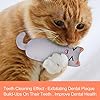 Bojafa-Cat-Catnip-Toys-3-Pack-Cat-Plush-Scratch-Playing-Chewing-Teeth-Cleaning-Creative-Pillow-Scratch-Pet-Catnip-Teeth-Grinding-Chew-Toys Bojafa Cat Catnip Toys 3 Pack Interactive Cat Teeth Cleaning Plush Toys for Indoor Cats Kitten- Creative Scratch Chewing…