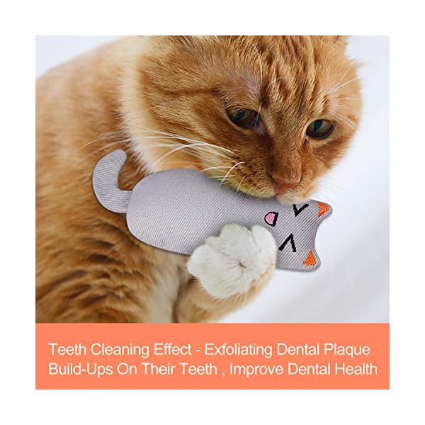 Bojafa-Cat-Catnip-Toys-3-Pack-Cat-Plush-Scratch-Playing-Chewing-Teeth-Cleaning-Creative-Pillow-Scratch-Pet-Catnip-Teeth-Grinding-Chew-Toys Bojafa Cat Catnip Toys 3 Pack Interactive Cat Teeth Cleaning Plush Toys for Indoor Cats Kitten- Creative Scratch Chewing…