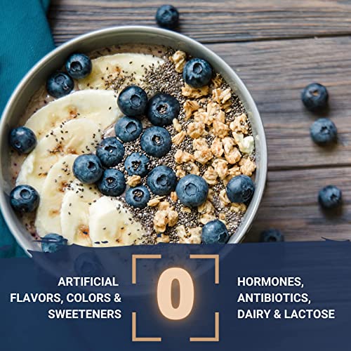 Gaspari Nutrition Proven Egg, 100 Egg White Protein, 25g Protein, Keto