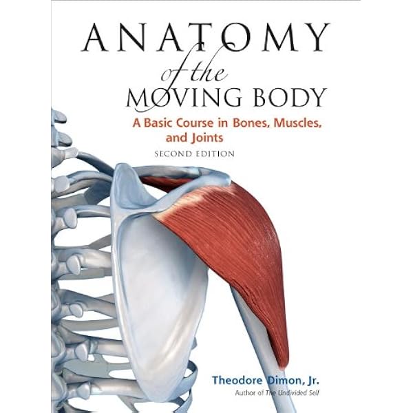 Amazon.com: Human Osteology eBook : White, Tim D., Black, Michael