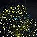 VMANOO Solar String Lights 100 LED M5 Clear Mini Fairy Christmas Lights for Outdoor Indoor Garden Patio Lawn Holiday Party Xmas Tree Garland Decorations, Waterproof (Warm White)