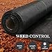 AGTEK Landscape Fabric 3x12 FT Heavy Duty Ground Cover Pack of 2