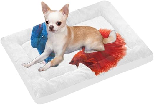Amazon Mdkhj ペットベッド かわいい動物 金魚 マット ペットクッション 犬用 猫用 寝床 もこもこ ふわふわ 柔らかい 丸洗える 滑り止め ケージ用敷物 暖かい 四季通用 防寒対策 53x75cm Mdkhj 水槽 アクアリウム 通販