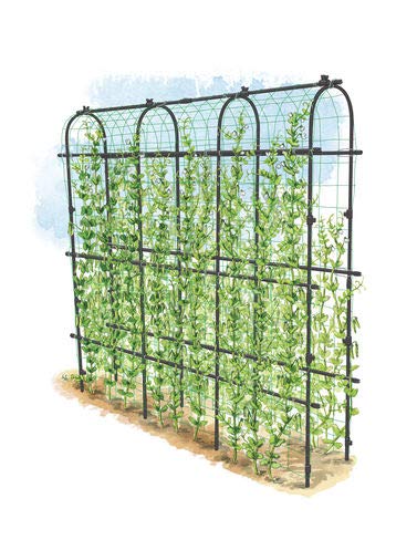 Gardener's Supply Company Titan Pea Tunnel