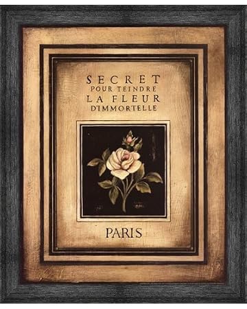 Amazoncom Poster Palooza Framed Les Fleurs De Paris I