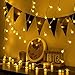HOLLOSPORT 33ft 100 Bulbs Plug in LED Warm Light String for Party & Christmas, 8 Modes