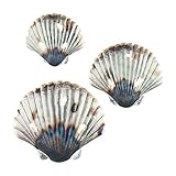 Set of 3 Metal Seashell Hanging Wall Art Beach Coastal Ocean Inspired Decor