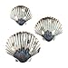 Set of 3 Metal Seashell Hanging Wall Art Beach Coastal Ocean Inspired Decor