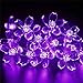 Fairy Lights Christmas Decorative Lights 33 Feet 100 LEDs, 8 Flash Modes with Tail Plug Connectable Cherry Flower Decoration Novelty Light for Party, Patio, Wedding, Home and Garden