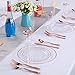 96 Pieces Clear Plastic Plates, Elegant Rose Gold Plates Includes: 48 Dinner Plates 10.25