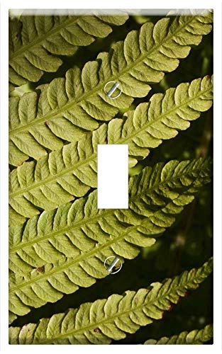 Switch Plate Single Toggle - Fern Fiddlehead Green Plant Vessel Sporenpflanze 1
