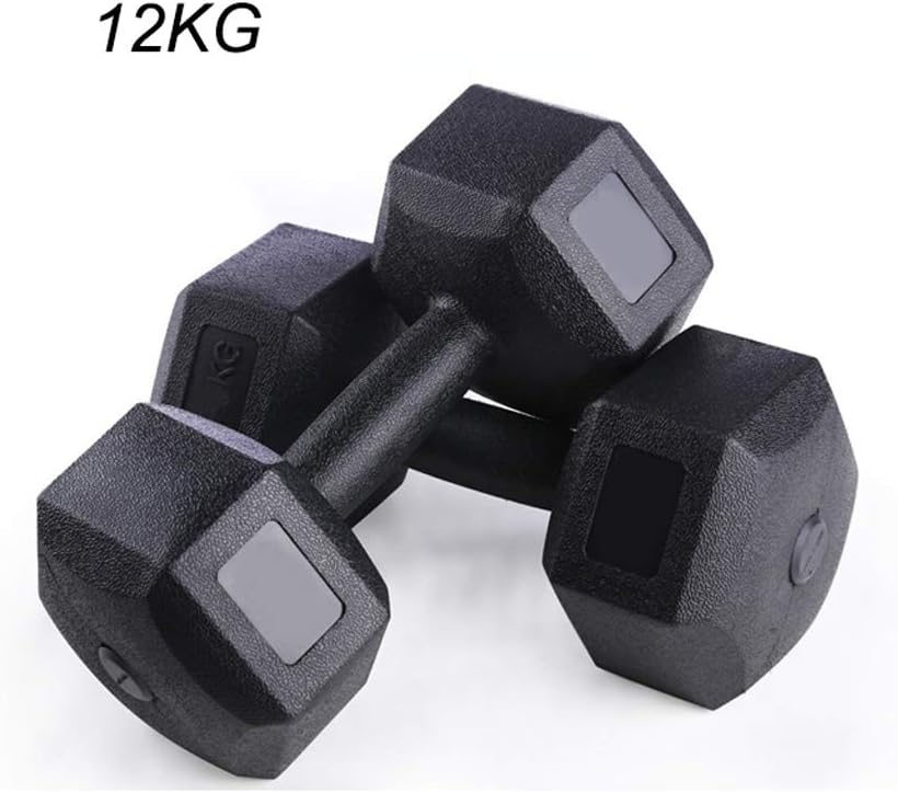 King Boutiques Dumbbell Hex Dumbbell Free Weight Rubber Coated Black Pair Dumbbell Exercise Arm Muscle Home Fitness Equipment 12kg Sports Equipment (Color : Black, Size : 12kg)