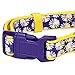 Blueberry Pet Soft & Comfy Loving Daisy Prints Padded Adjustable Dog Collar, Large, Neck 18