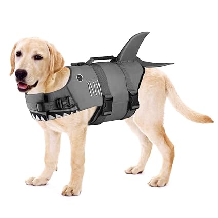 dog life jacket pets at home