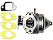 GENUINE OEM Honda HRT2162TDA Walk-Behind Lawn Mower Engines CARBURETOR ASSEMBLY & MOUNTING GASKETS KIT