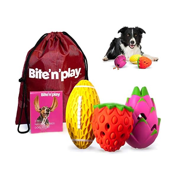 bond & co dog jacket