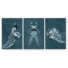 Canvas Wall Art Abstract Vintage Peacock Painting Artwork for Home Prints Framed - 16"x24" x 3 Panels
