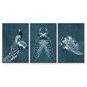 Abstract Vintage Peacock Painting Artwork for Home Framed...