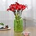 Leagel Calla Lily Bridal Wedding Bouquet Head Lataex Real Touch Flower Bouquets (20, Red)