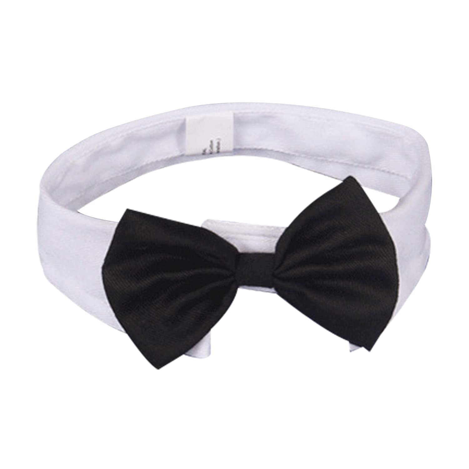 Black & White Bow Tie Collar for Small Pets