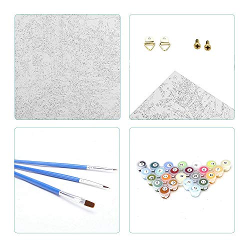 decalmile Malen Nach Zahlen Kits DIY Leinwand Gemälde für Erwachsene Anfänger Rote Mohnblume 16"X 20" (40 x 50cm, Holzrahmen) – Bild 6