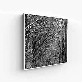 Canvas Wall Art for Living Room, Bedroom Monochrome Image Framed Canvas Prints for Home Decoration Ready to Hang - 16x16 inches