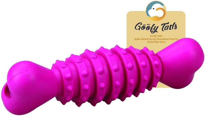 Goofy Tails Spike Dental Garari Chew Bone Dog Toy (Color May Vary)
