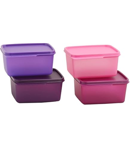 Amazon.com: Tupperware Fresh N Cool 2 Cup Set of 2 in Sheer and