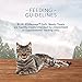 Blue Buffalo Wilderness Grain Free Soft-Moist Chicken & Salmon Cat Treats