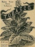 Connecticut Broadleaf Tobacco Seeds ~100 seeds