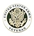 U.S. Army Veteran Lapel Pin - 1 Piece