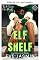 Livro Elfa fora da prateleira (Diamond Falls Livro 4)