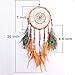 Ricdecor Handmade Indian Peacock Feathers Dream Catcher Wall Hanging Car Hanging Decoration Ornament 25.6 Inch Long (Dia 7