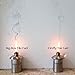 Firefly Eucalyptus Tiki Torch Fuel - 1 Gallon - Odorless - More Economical