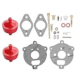Harbot 394693 398235 295938 Carburetor Overhaul Rebuild Kit for 7-9 HP Horizontal Up-Draft Float Carburetors Toro 38150 38155 38570 Snowblower 58170 Tiller with Fuel Filter