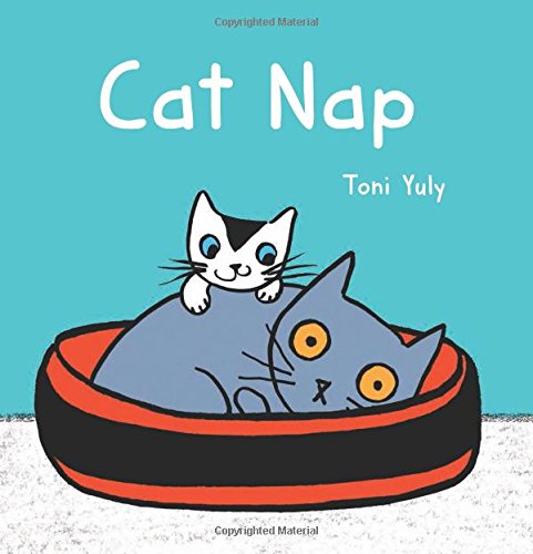 Cat Nap