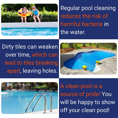 Pool Blok PB12 by US Pumice, Pumice Stone for Cleaning of Pools, Tiles