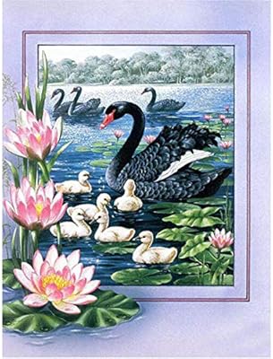 طقم رسم ماسي ثلاثي الأبعاد للمثقاب بالكامل طقم رسم حجر الراين الماسي للبالغين والأطفال تطريز فن تطريز الحرف اليدوية ديكور المنزل 30 40 سم Amazon Ae