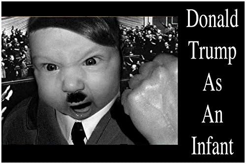 TRUMP BABY, 1 Large (approx 5.5 x 3.5 inches) funny photo fridge magnet, refrigerator humorous meme decorative magnetic sign plaque, print. DONALD TRUMP AS AN INFANT, POLITICAL HUMOR