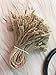 Hemp Twine String 7