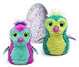 Hatchimals Pengualas Pink/Teal Egg Toy